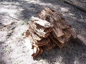 [Hearth.com] Ponderosa Pine bark chipping tool