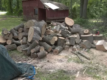 [Hearth.com] Twisty, knotty oak.