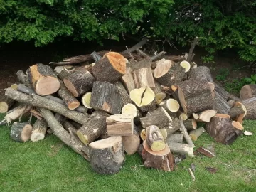 [Hearth.com] Free Wood From Work