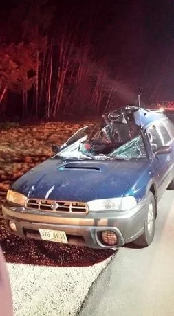 [Hearth.com] Moose hit by car, bummer...