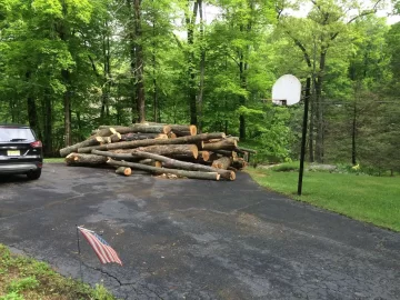 [Hearth.com] Got my parents ready.. Log truck load