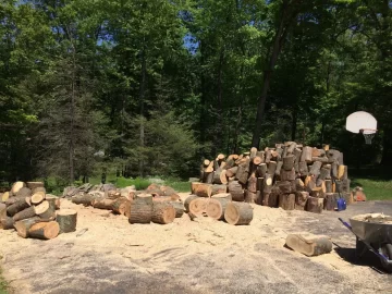 [Hearth.com] Got my parents ready.. Log truck load