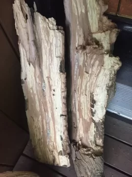 [Hearth.com] Wood ID if you please