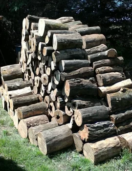 [Hearth.com] Working on my log pile!