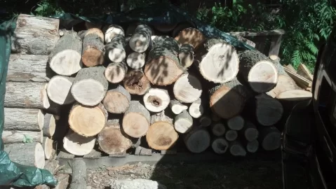 [Hearth.com] What percentage of your wood is split vs. whole logs?