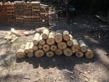 [Hearth.com] Finished bucking up the last of a poplar for kindling