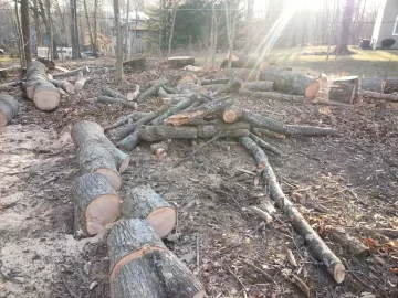 [Hearth.com] Wood ID, White Oak?