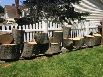 [Hearth.com] Free White Oak in western Suffolk County