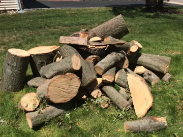 [Hearth.com] Free White Oak in western Suffolk County