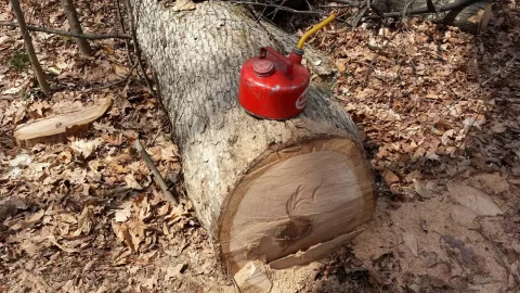 [Hearth.com] Wood ID, White Oak?