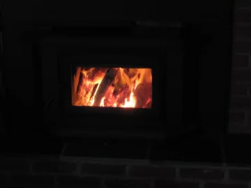 [Hearth.com] Screen for Fisher fireplace insert?