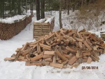 [Hearth.com] Wood Shed Idea