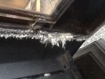 [Hearth.com] 52i door gasket damage