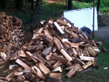 [Hearth.com] The Wood Pile