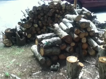 [Hearth.com] The Wood Pile