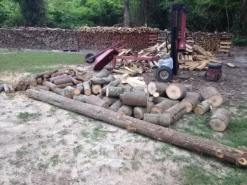 [Hearth.com] Done some cleanup behind the house