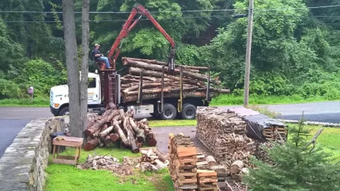 [Hearth.com] Log Load Delivered Today