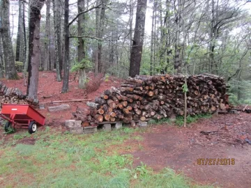 [Hearth.com] Log Load Delivered Today