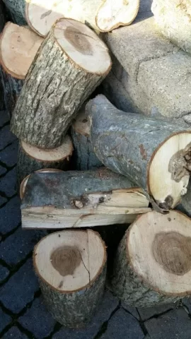 [Hearth.com] Wood ID Help - Southern CT