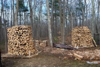 [Hearth.com] Anybody Ever Seriously Injured By Wood Pile Collapse?