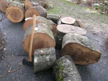 [Hearth.com] help with splitting big oak logs