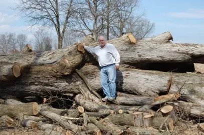 [Hearth.com] very large white oak