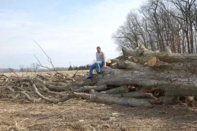 [Hearth.com] very large white oak