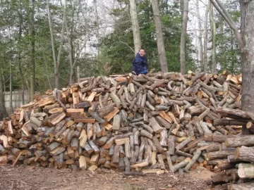 [Hearth.com] My nephew on my Woodpile