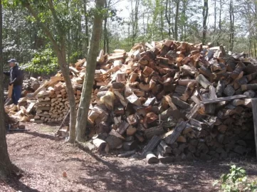 [Hearth.com] My nephew on my Woodpile