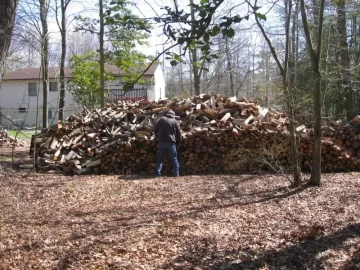 [Hearth.com] My nephew on my Woodpile