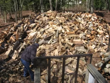 [Hearth.com] My nephew on my Woodpile