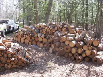 [Hearth.com] My nephew on my Woodpile