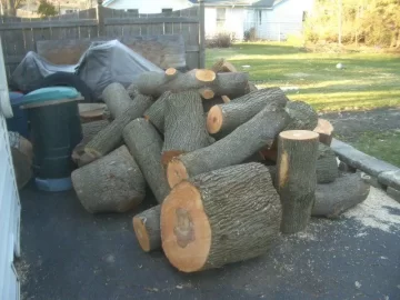 [Hearth.com] It pays to let neighbors know you're a log collector!