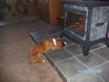 [Hearth.com] Boxer loves the stone stove, late season burning