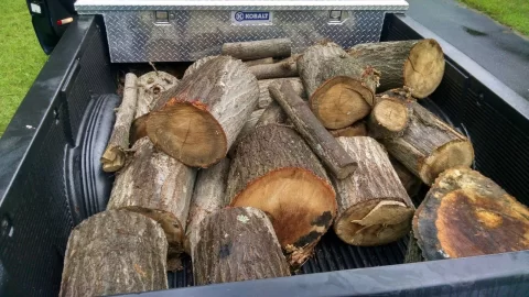 [Hearth.com] Free oak score