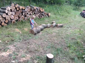 [Hearth.com] Hybrid ATV Log Arch