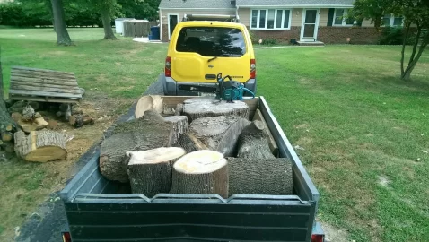 [Hearth.com] Thank goodness Tractor Supply told me "now is the time to cut, split and burn wood"!