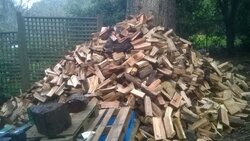 Split a bit of wood at the weekend....