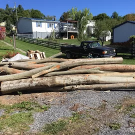 [Hearth.com] Nice truck load of Beech today