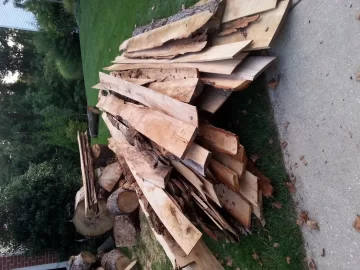 [Hearth.com] Newbie...trying to get seasoned firewood in late September