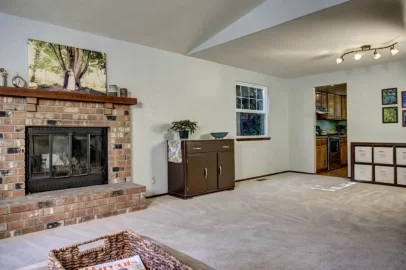 [Hearth.com] new insert vs. new fireplace