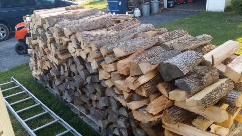 [Hearth.com] Log Load On The Way