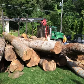 [Hearth.com] Buddy just got a log truck load