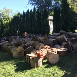 [Hearth.com] Buddy just got a log truck load