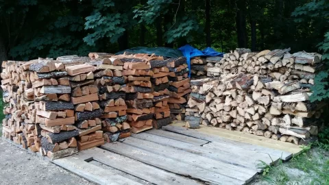 [Hearth.com] Shagbark Hickory drying time