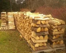 [Hearth.com] first year vs. third year of stacking wood