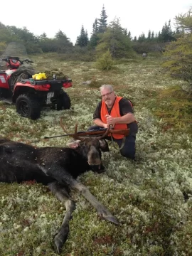 [Hearth.com] Fire wood & moose at moose camp - picture