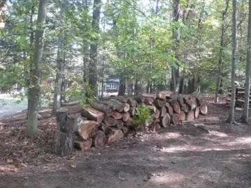 [Hearth.com] Official Connecticut Firewood Thread