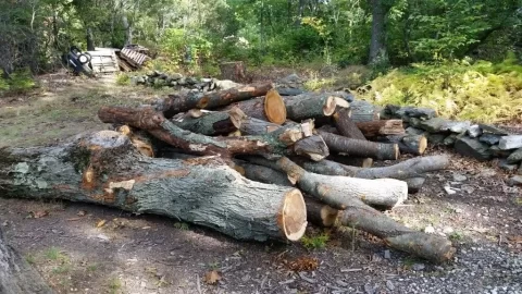 [Hearth.com] Official Connecticut Firewood Thread