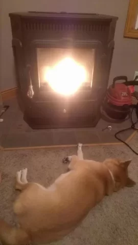 [Hearth.com] pellet stove pets